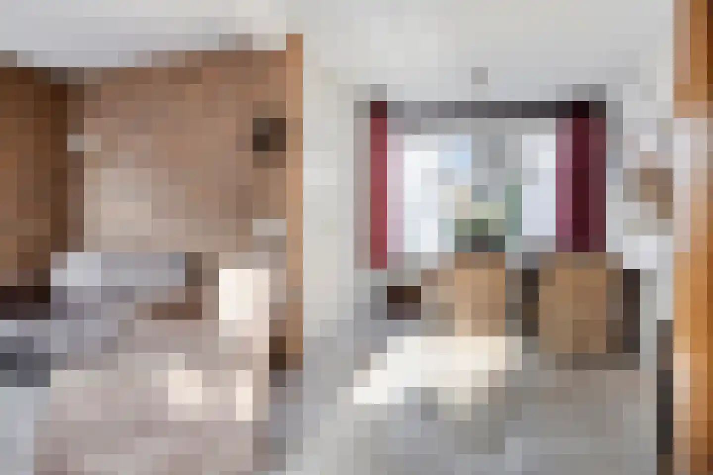 Burgemeester Overdorpstraat 49 Nieuwe-Tonge thumbnail 13