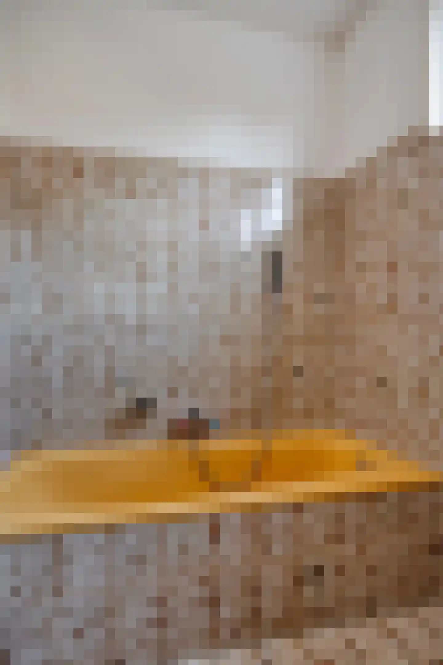 Burgemeester Overdorpstraat 49 Nieuwe-Tonge thumbnail 20