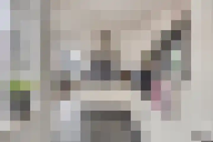 Burgemeester Overmarsstraat 16 Ewijk thumbnail 10