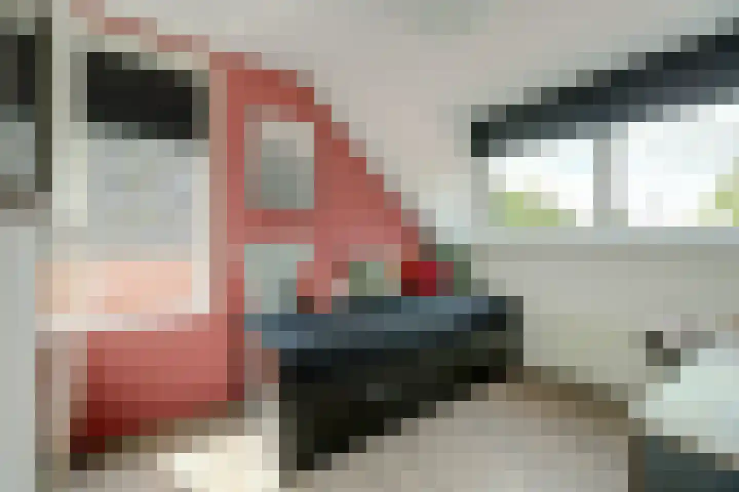 Burgemeester P Wissestraat 18 Geersdijk thumbnail 15
