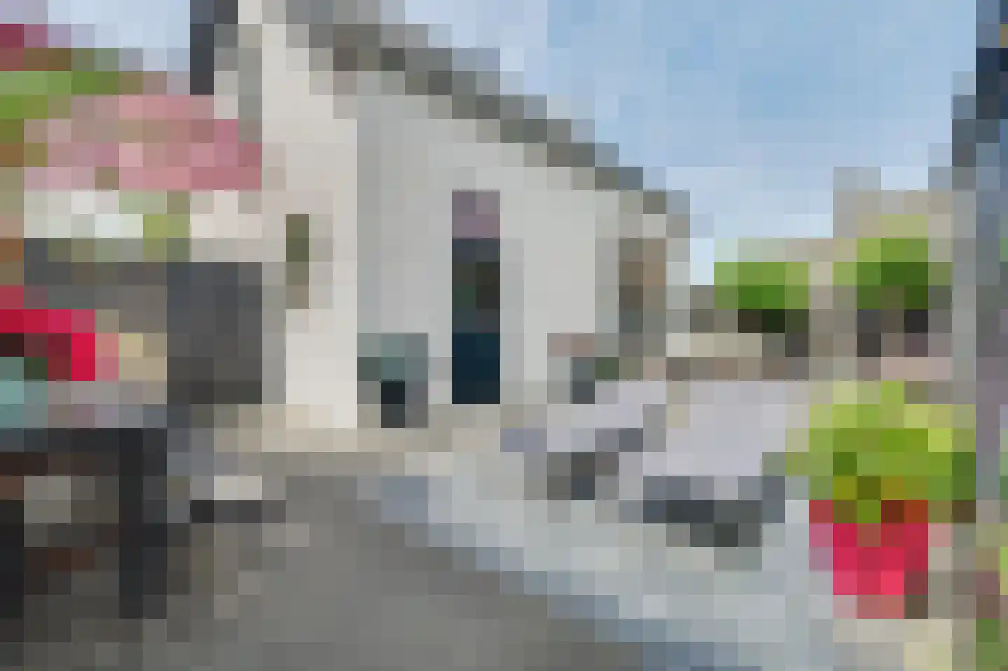 Burgemeester P Wissestraat 18 Geersdijk thumbnail 23