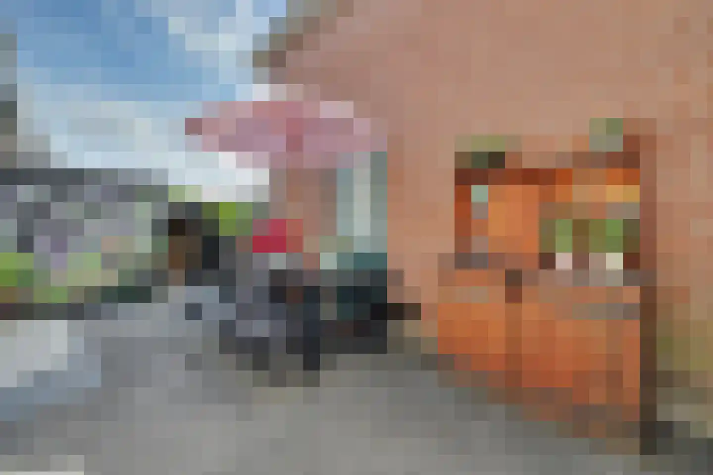 Burgemeester P Wissestraat 18 Geersdijk thumbnail 24