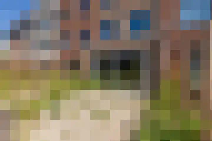 Burgemeester Pabstlaan 53 Hoofddorp thumbnail 16