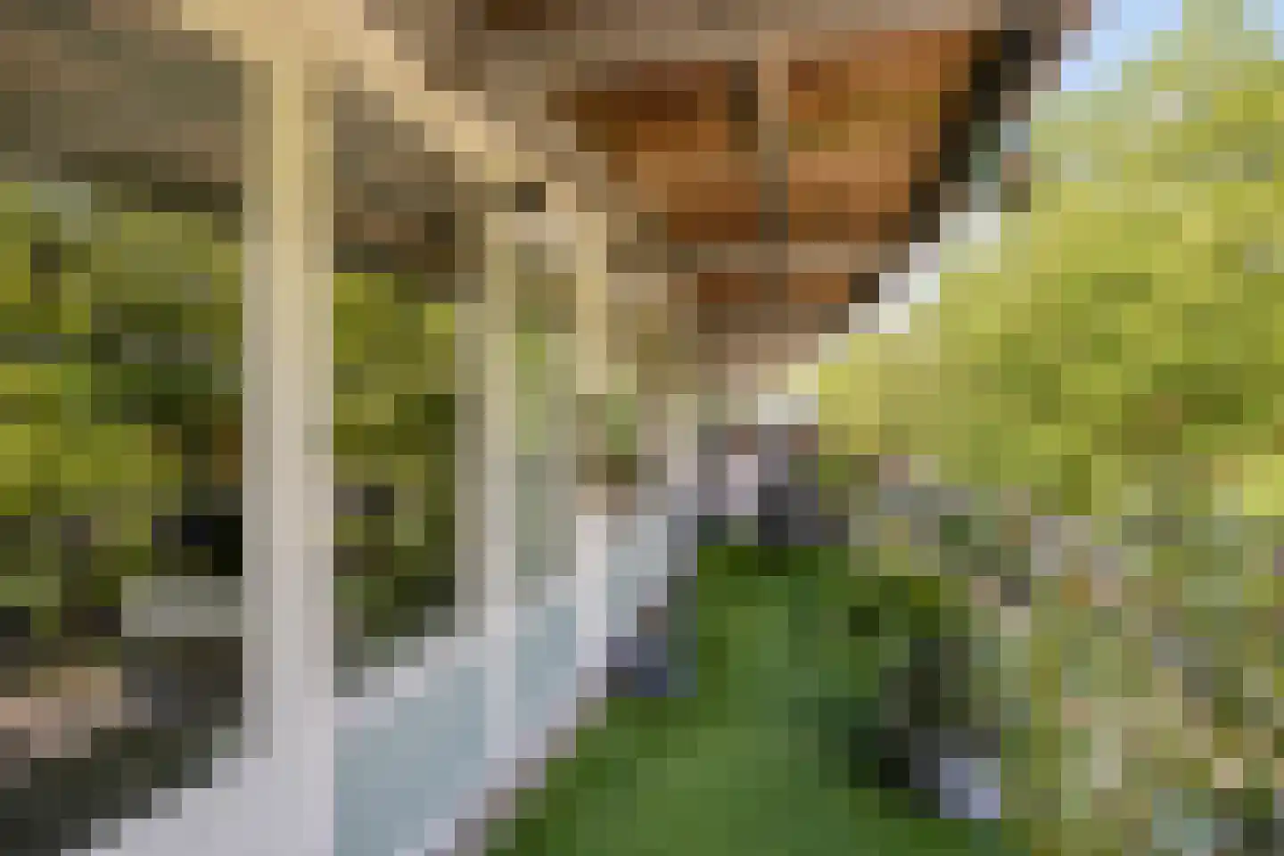 Burgemeester Pabstlaan 8 27 Hoofddorp thumbnail 25