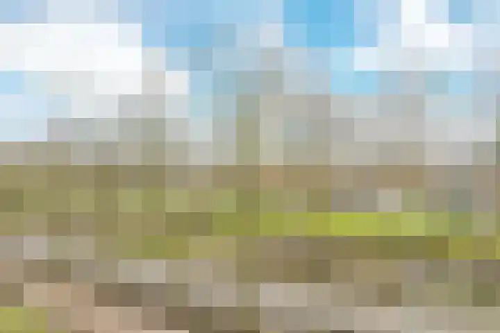 Burgemeester Pabstlaan 8 36 Hoofddorp thumbnail 27