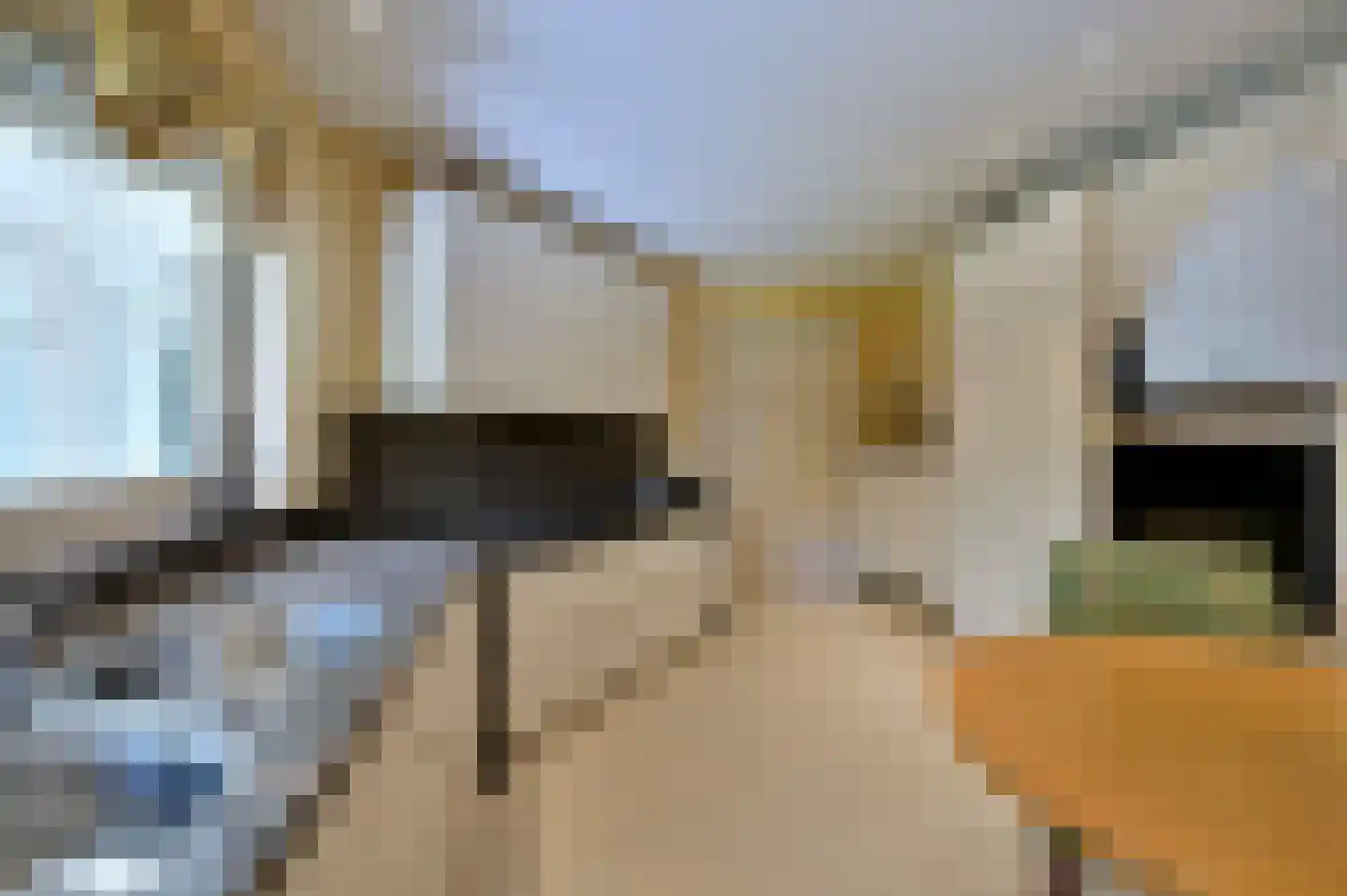 Burgemeester Padmosweg 100 Wilnis thumbnail 18
