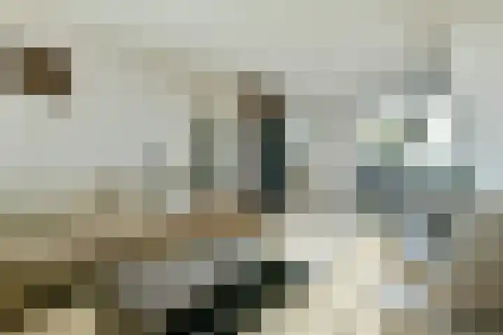 Burgemeester Padmosweg 168 C Wilnis thumbnail 5