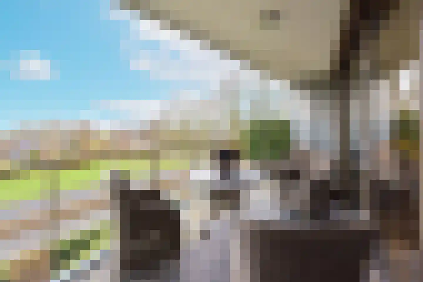 Burgemeester Padmosweg 204 K Wilnis thumbnail 23