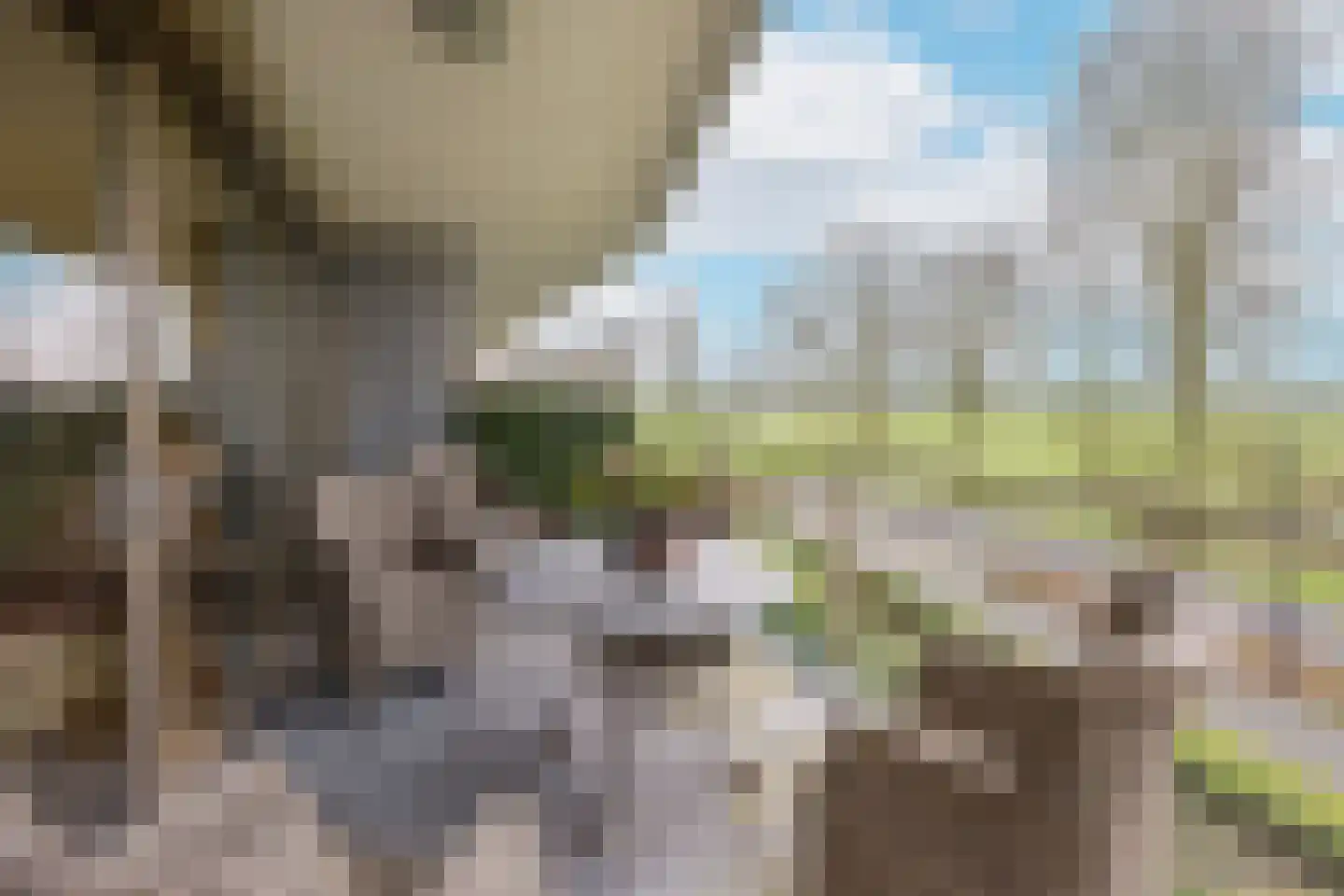 Burgemeester Padmosweg 204 K Wilnis thumbnail 24