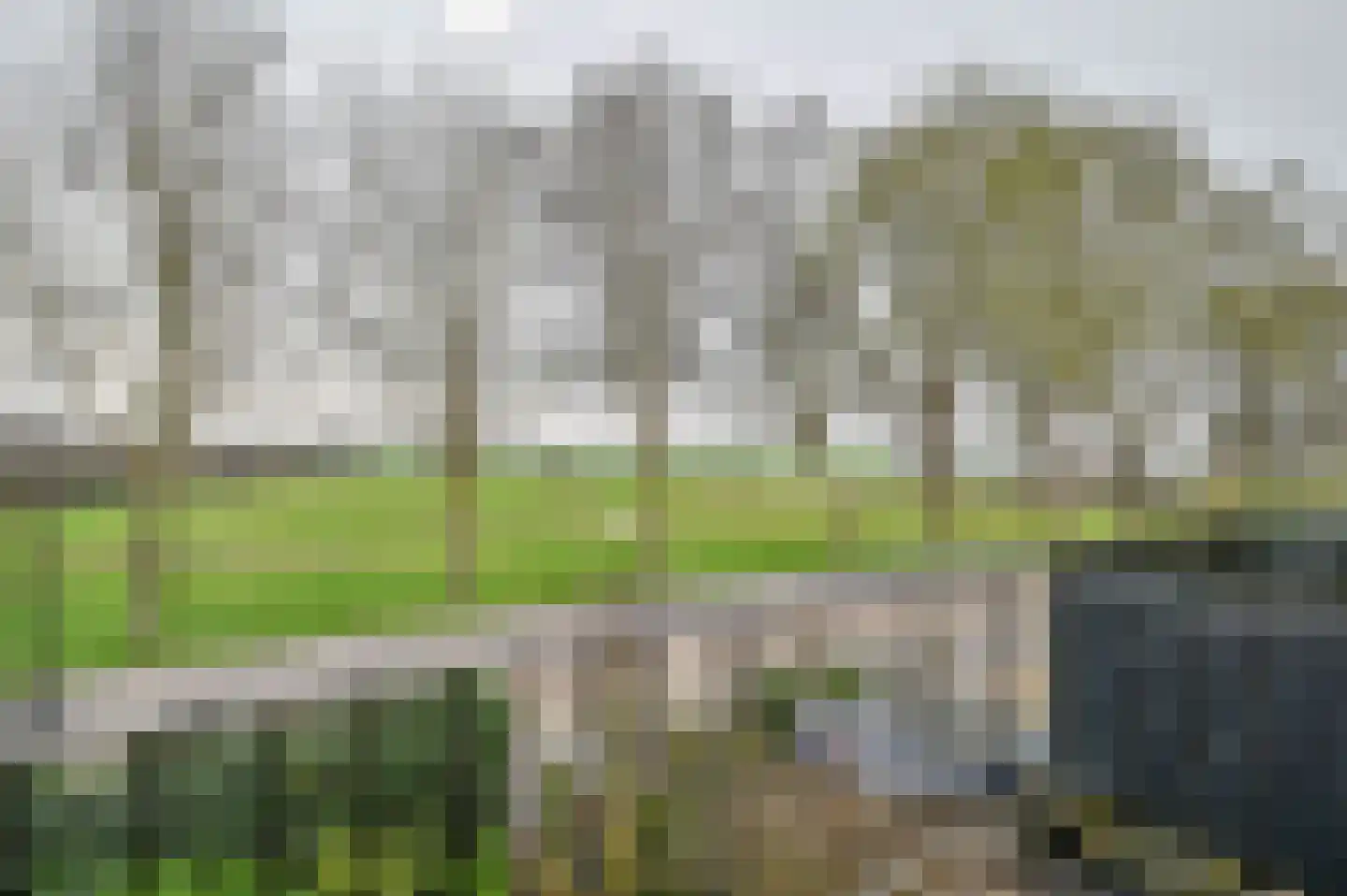 Burgemeester Padmosweg 56 Wilnis thumbnail 18
