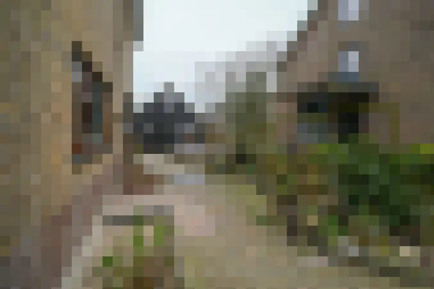 Burgemeester Padmosweg 56 Wilnis thumbnail 30