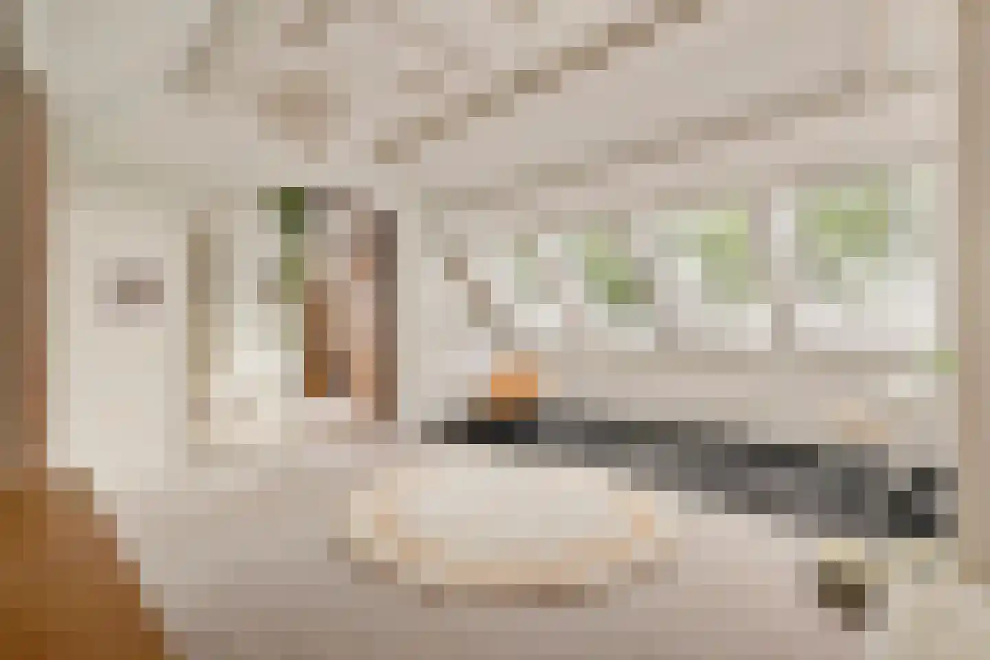Burgemeester Padmosweg 84 Wilnis thumbnail 17