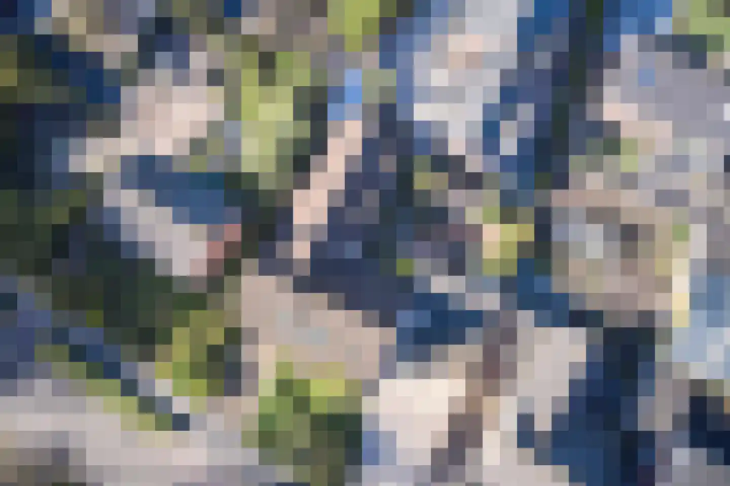 Burgemeester Padmosweg 84 Wilnis thumbnail 28