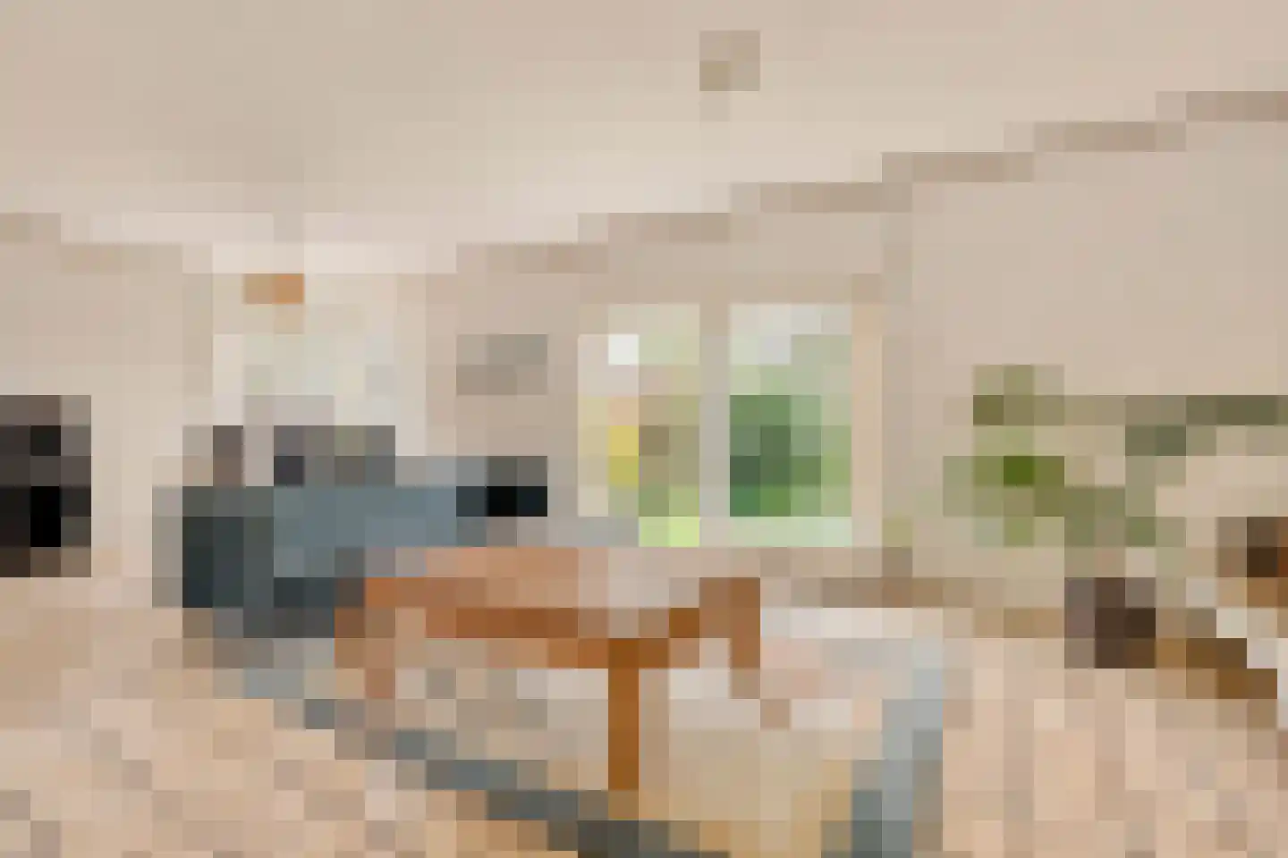Burgemeester Padmosweg 84 Wilnis thumbnail 4