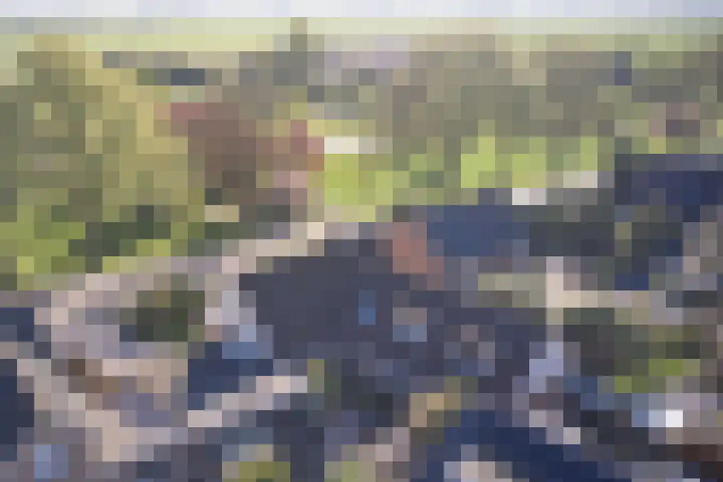Burgemeester Padmosweg 84 Wilnis thumbnail 4