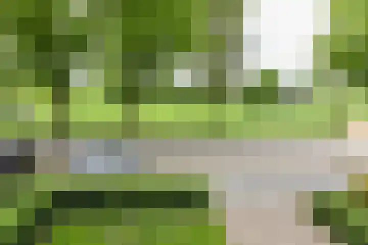 Burgemeester Padmosweg 98 Wilnis thumbnail 19