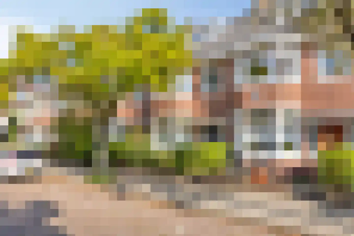 Burgemeester Palingstraat 7 in Alkmaar