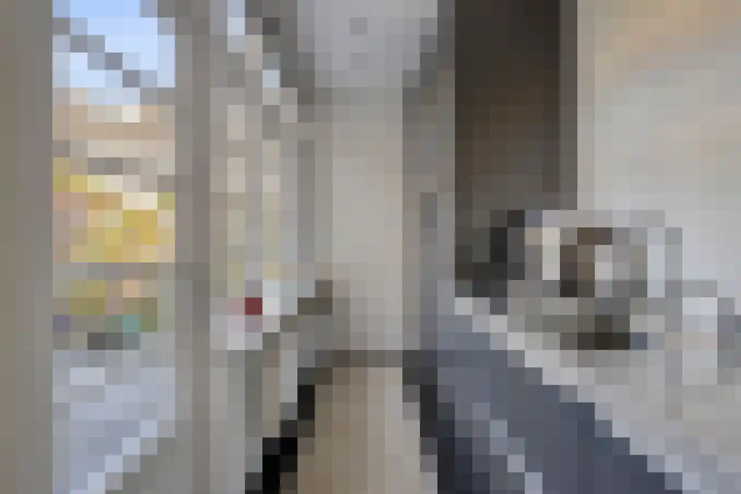 Burgemeester Palingstraat 7 Alkmaar thumbnail 17
