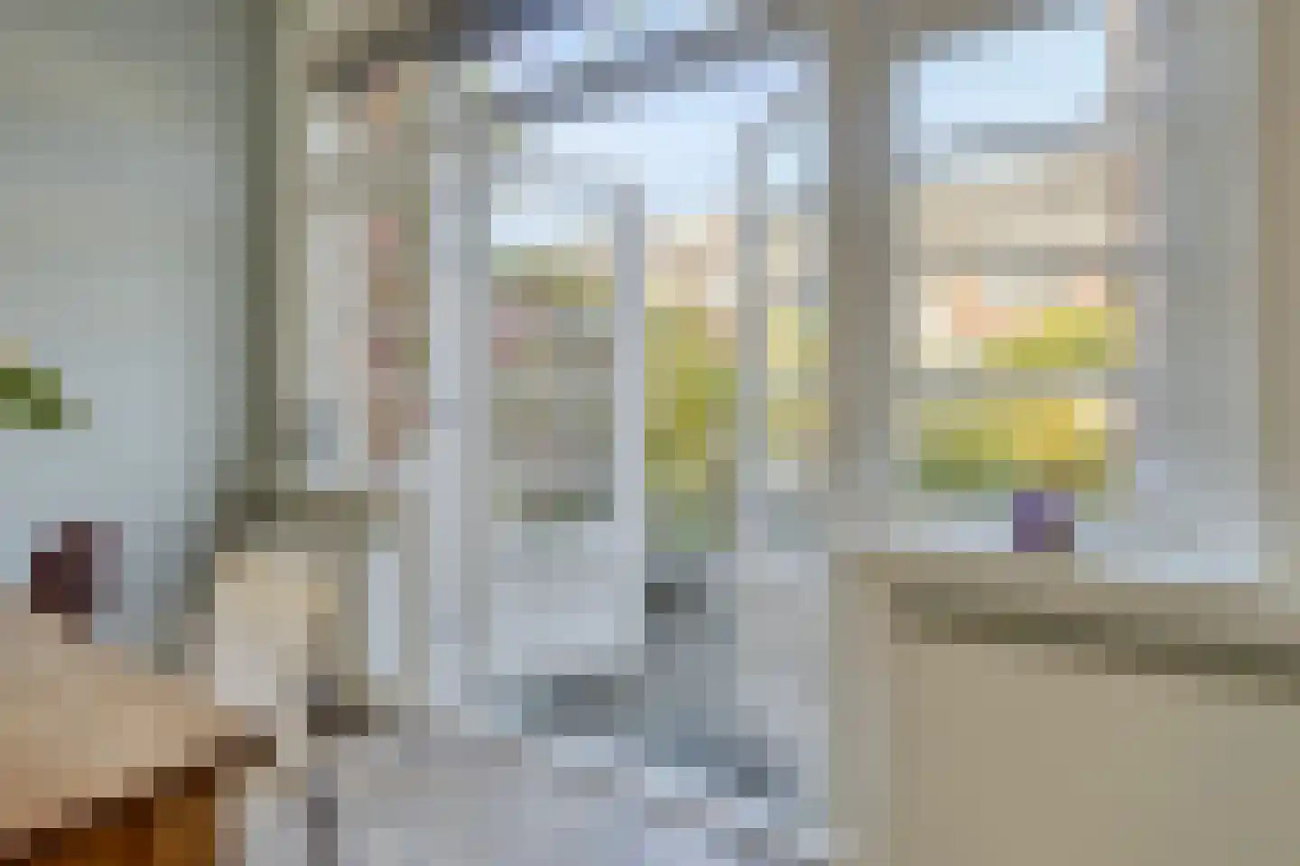 Burgemeester Palingstraat 7 Alkmaar thumbnail 20