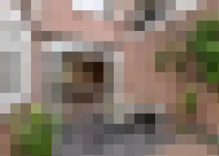 Burgemeester Palingstraat 9 Alkmaar thumbnail 37