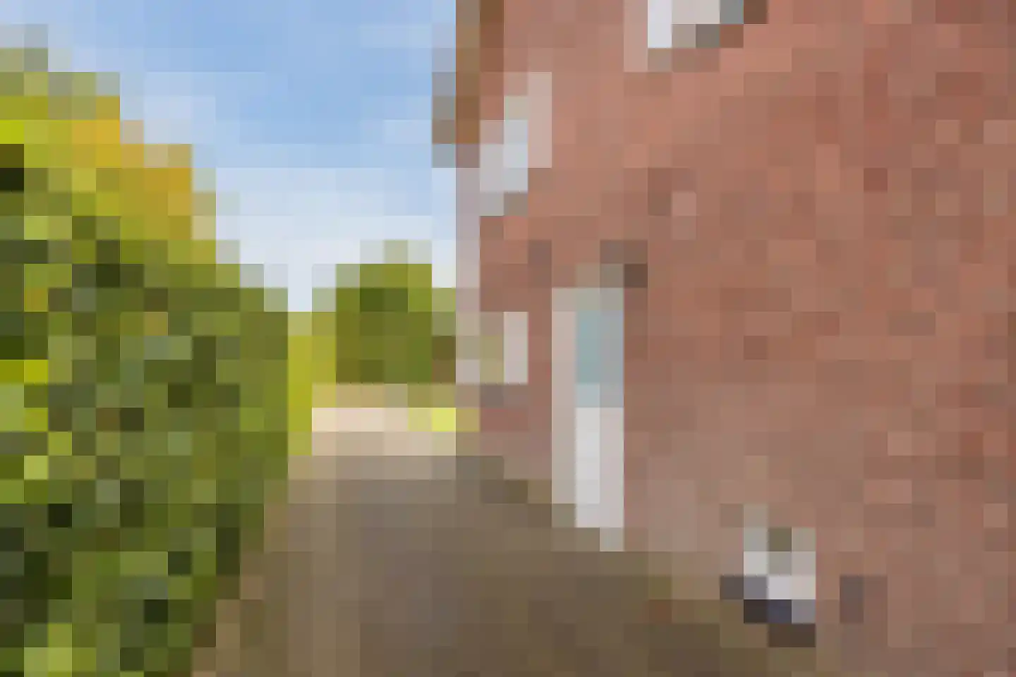 Burgemeester Panislaan 14 Berkel-Enschot thumbnail 63