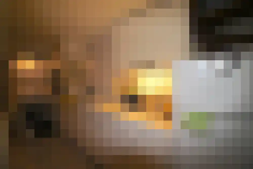 Burgemeester Passtoorsstraat 1 Breda thumbnail 4