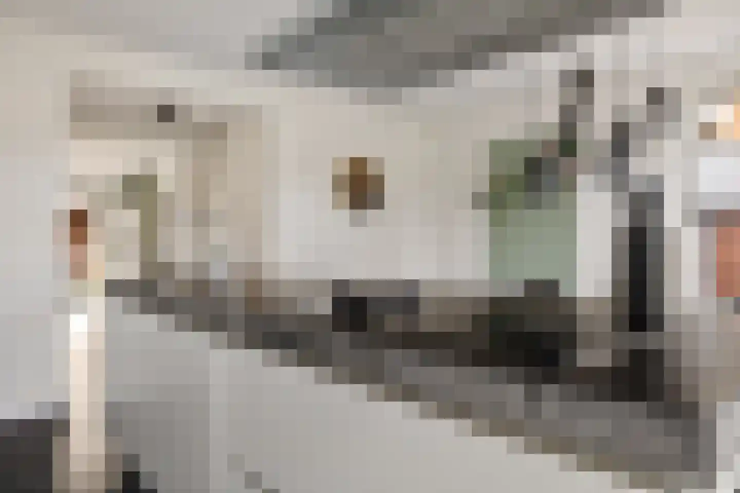 Burgemeester Pastoorstraat 8 Wanneperveen thumbnail 10
