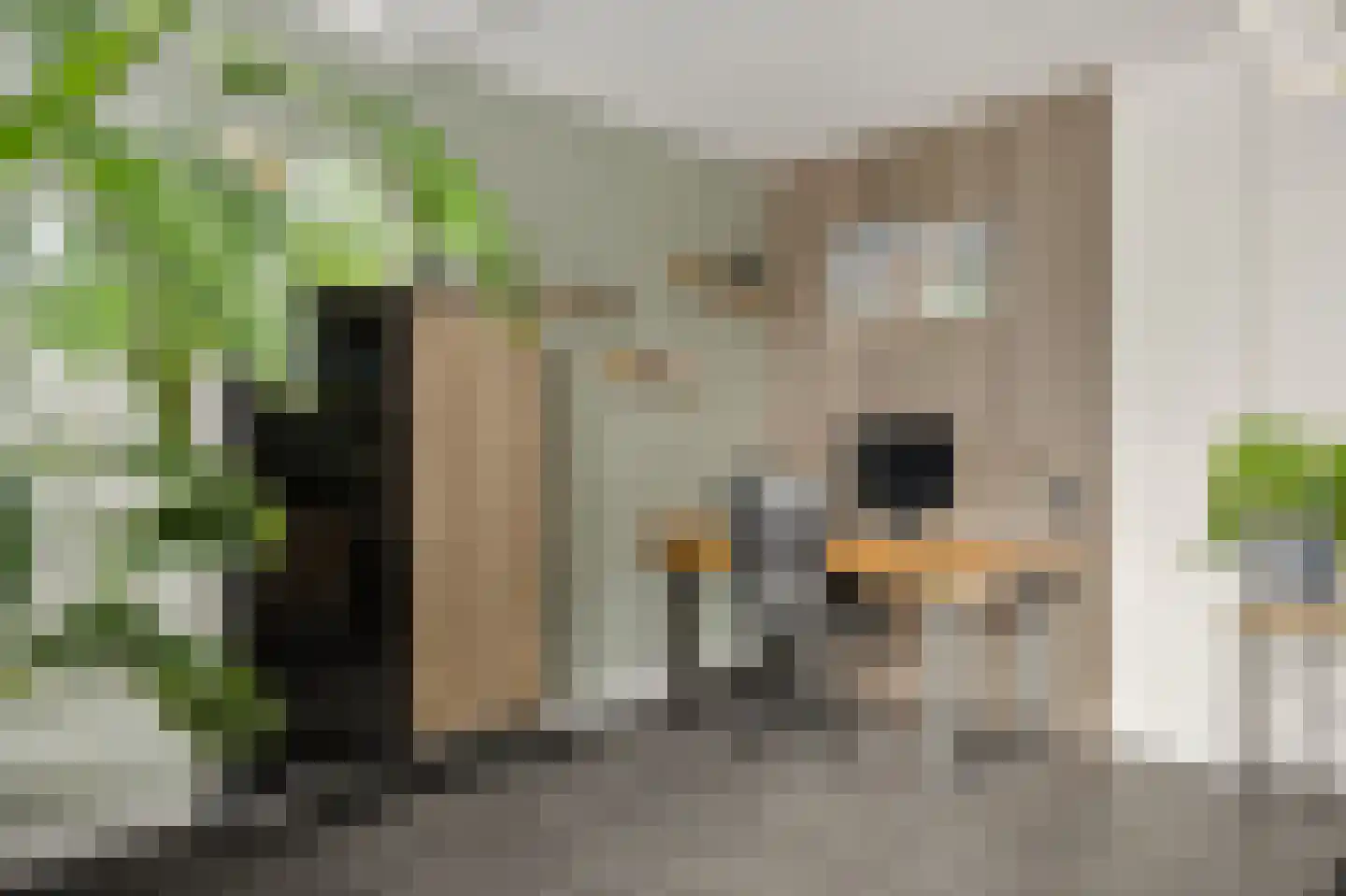 Burgemeester Pastoorstraat 8 Wanneperveen thumbnail 11