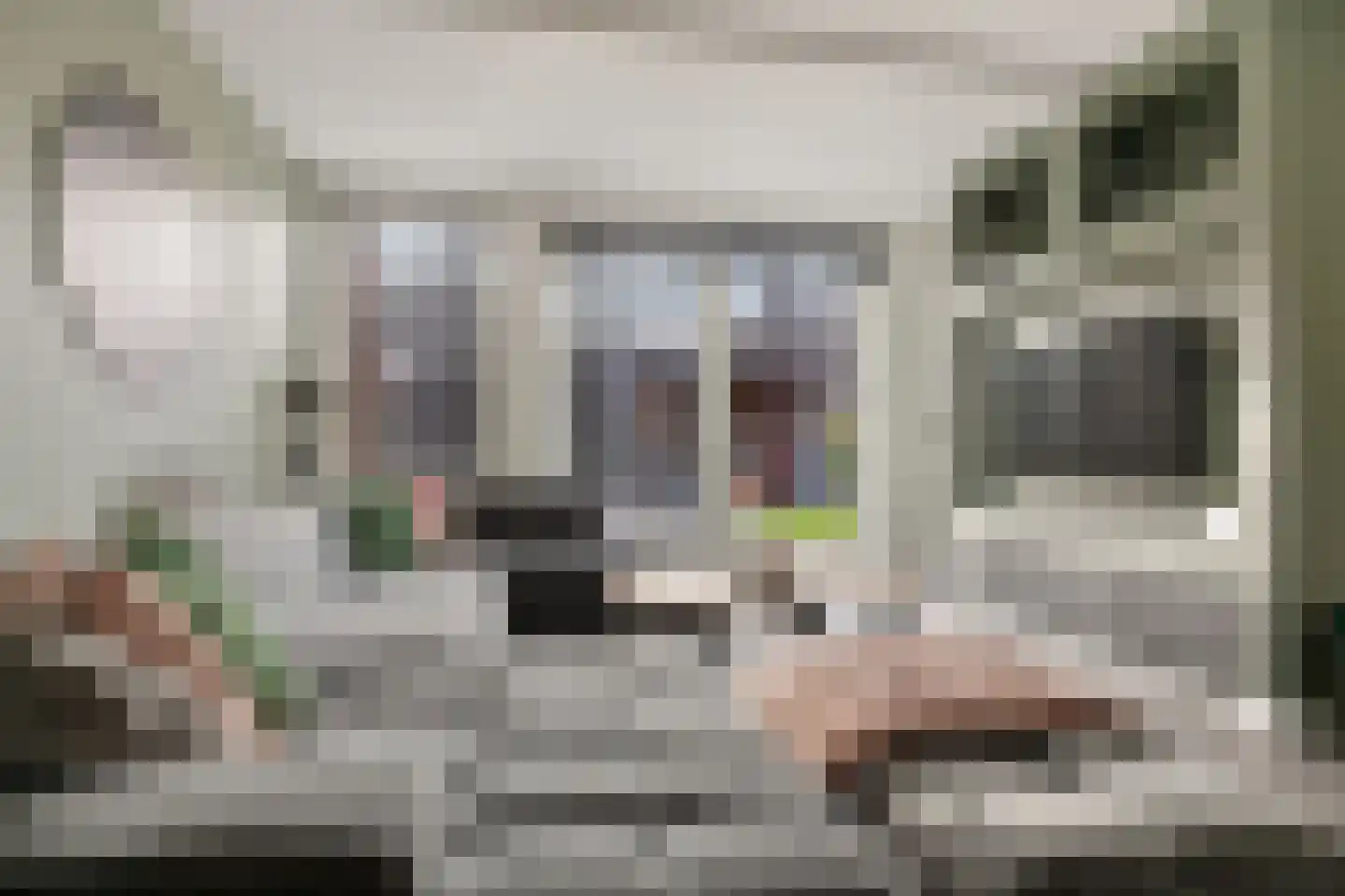 Burgemeester Pastoorstraat 8 Wanneperveen thumbnail 13