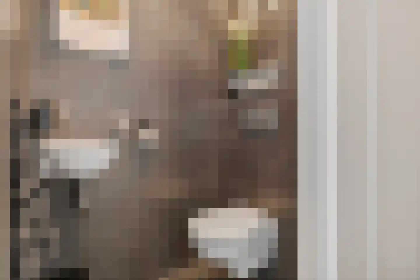 Burgemeester Pastoorstraat 8 Wanneperveen thumbnail 15