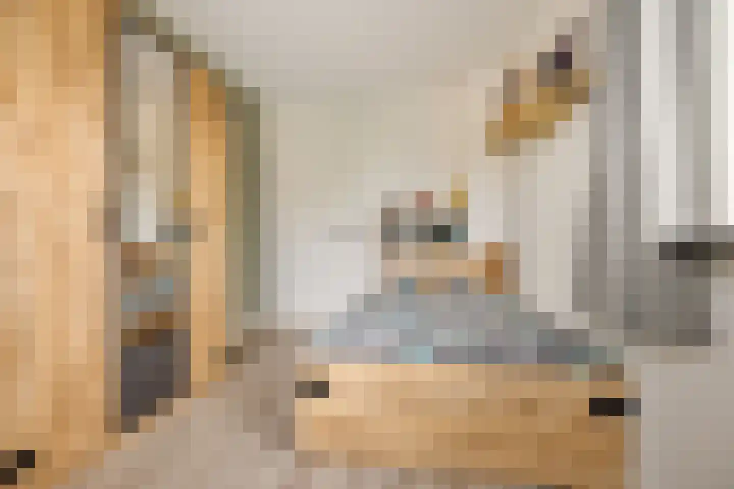 Burgemeester Pastoorstraat 8 Wanneperveen thumbnail 17