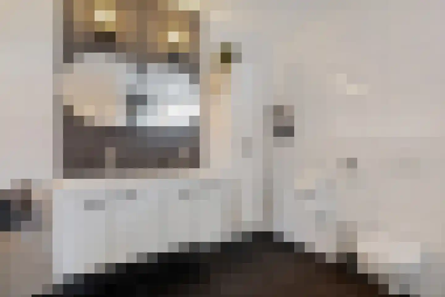 Burgemeester Pastoorstraat 8 Wanneperveen thumbnail 25