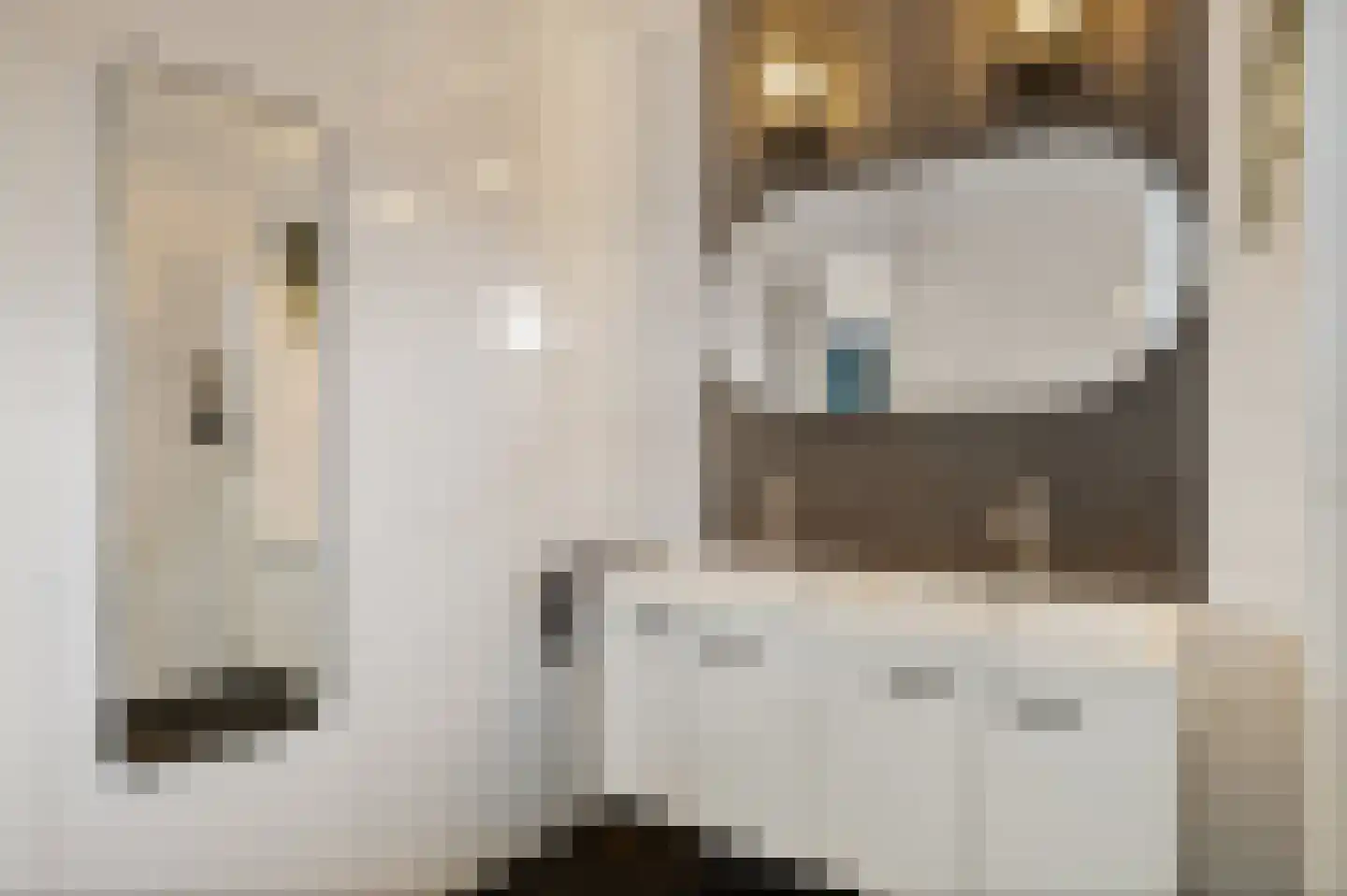Burgemeester Pastoorstraat 8 Wanneperveen thumbnail 26