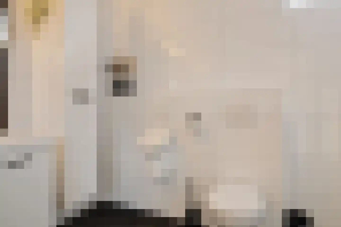 Burgemeester Pastoorstraat 8 Wanneperveen thumbnail 27