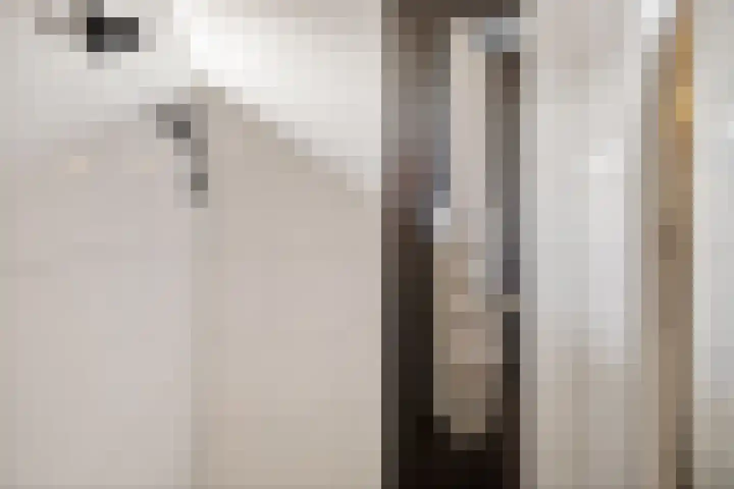 Burgemeester Pastoorstraat 8 Wanneperveen thumbnail 28