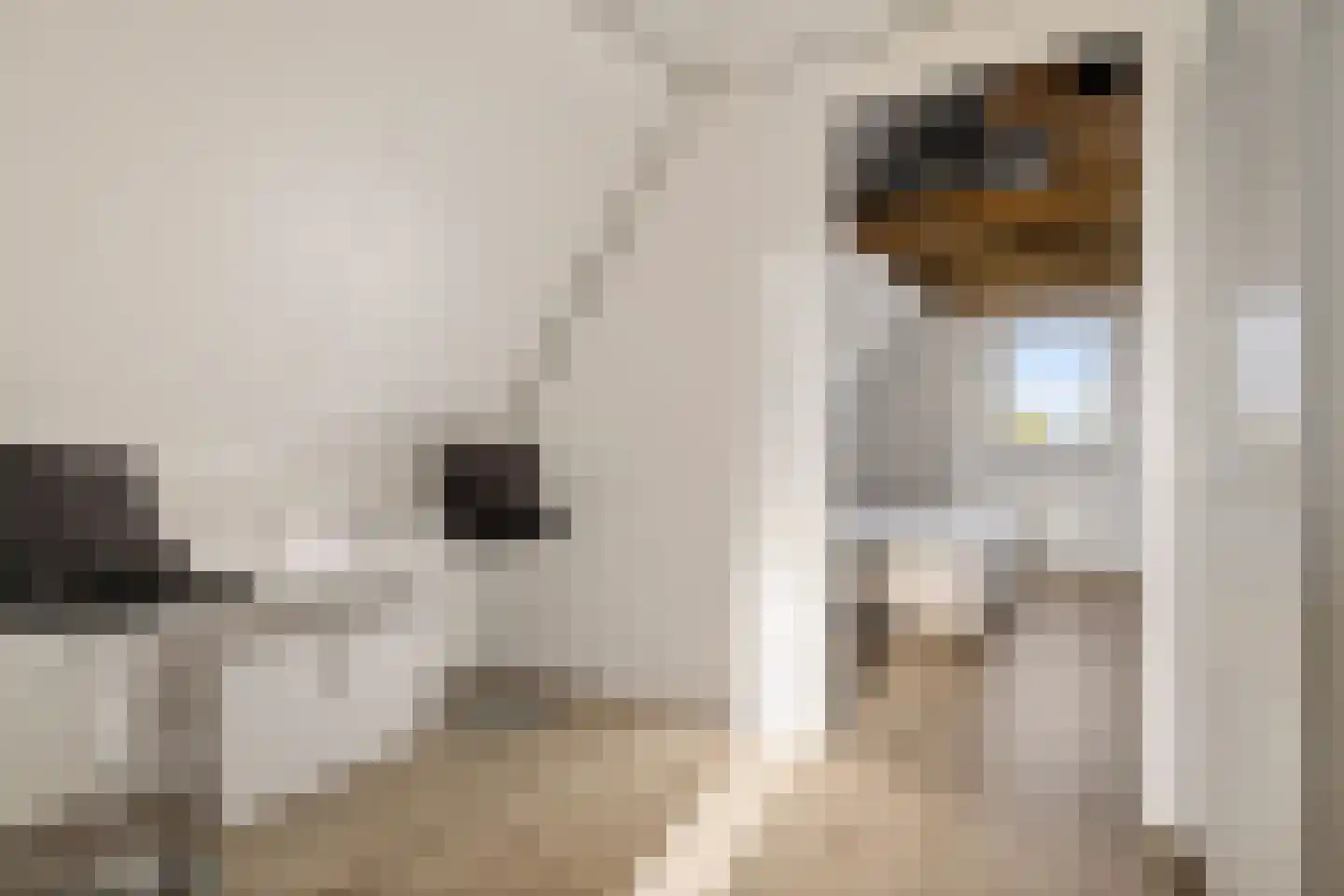 Burgemeester Pastoorstraat 8 Wanneperveen thumbnail 31