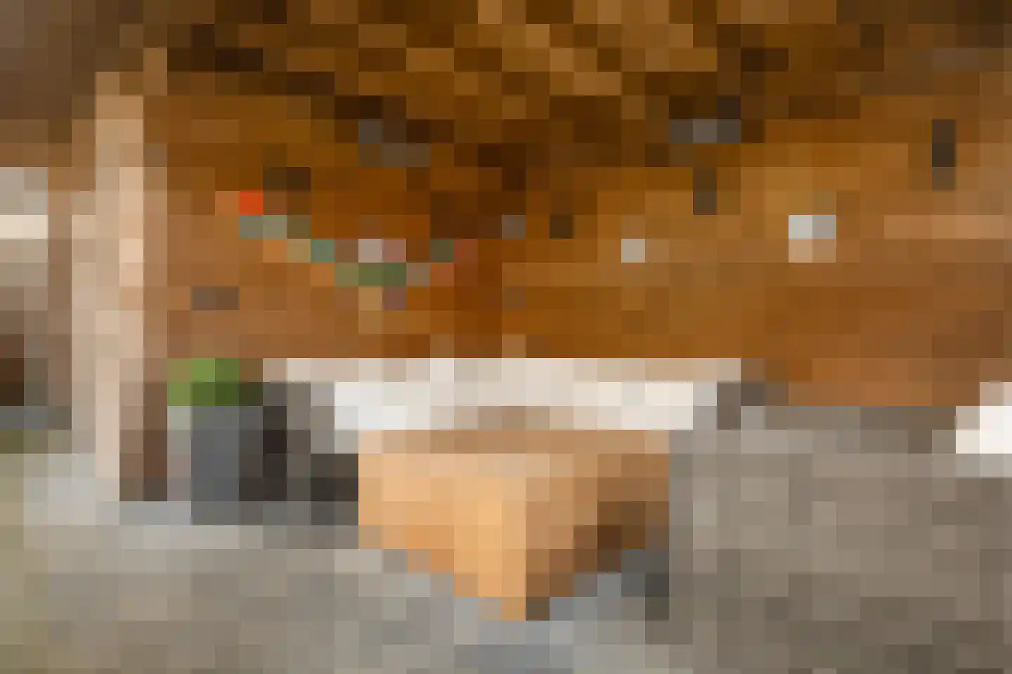 Burgemeester Pastoorstraat 8 Wanneperveen thumbnail 34