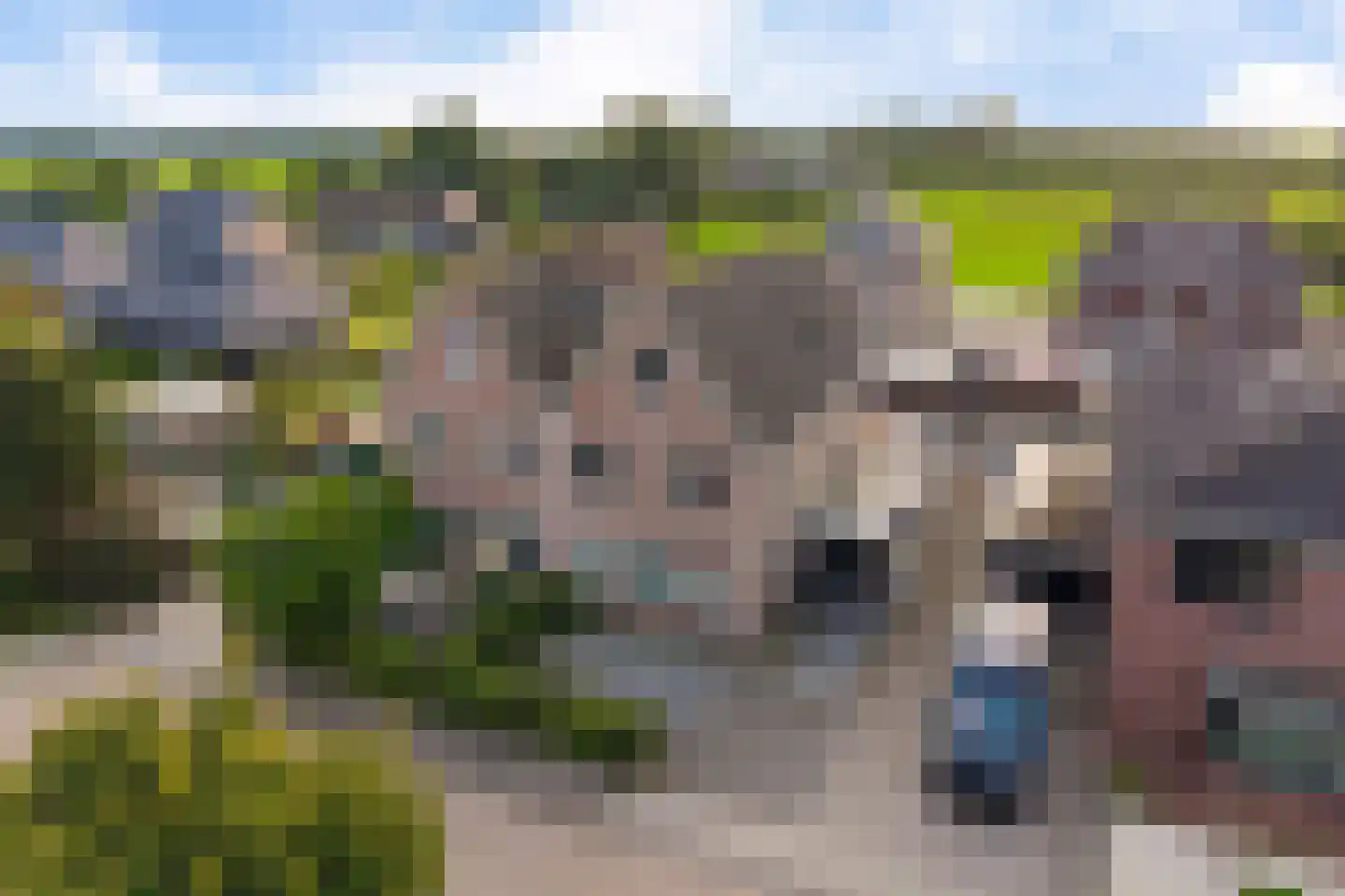 Burgemeester Pastoorstraat 8 Wanneperveen thumbnail 44