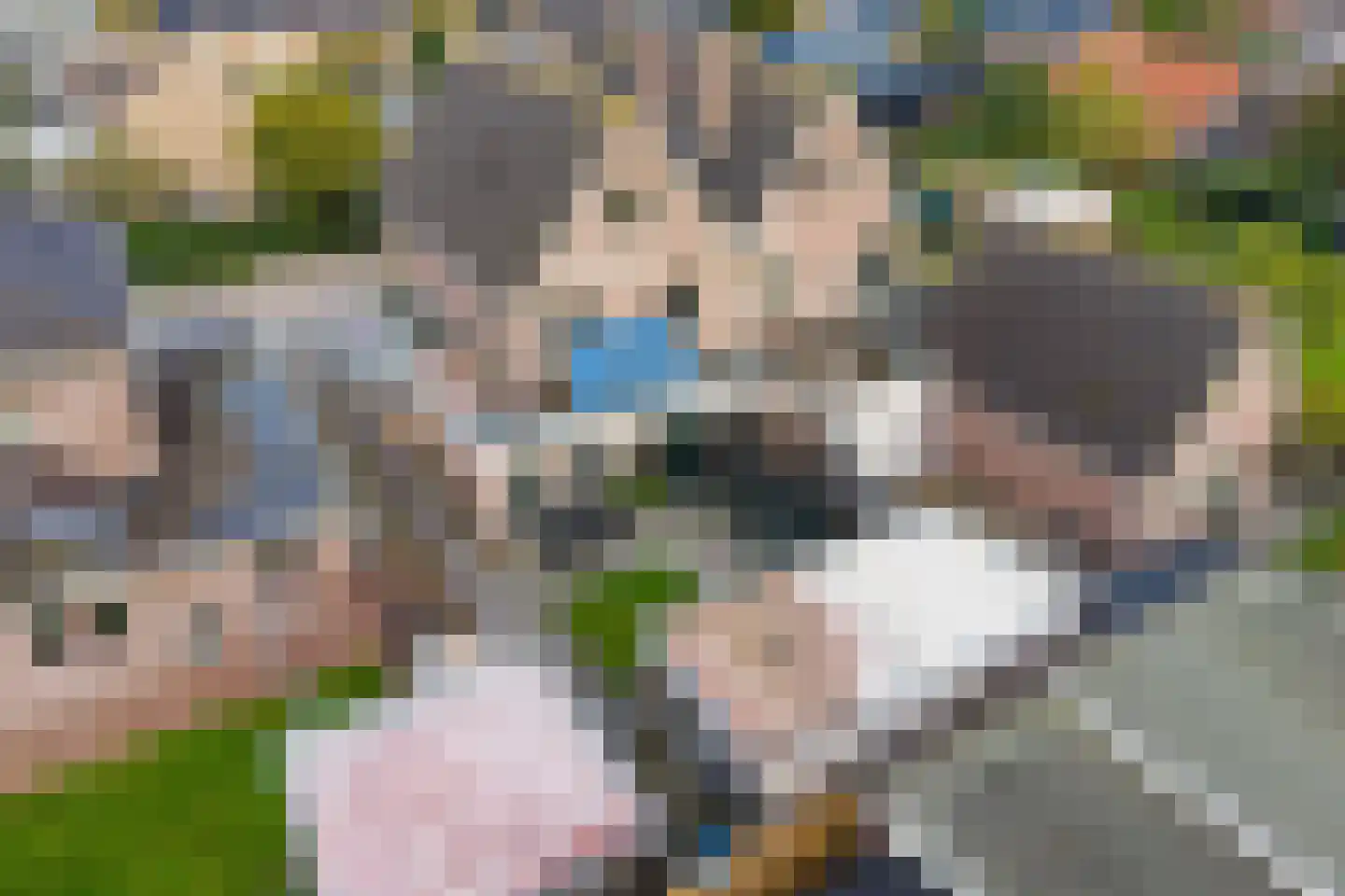 Burgemeester Pastoorstraat 8 Wanneperveen thumbnail 46