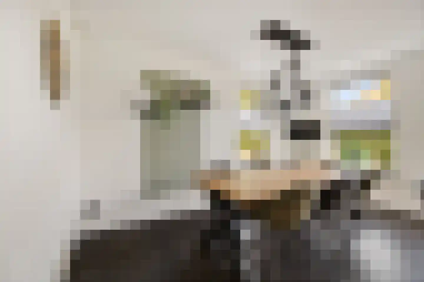 Burgemeester Pastoorstraat 8 Wanneperveen thumbnail 6