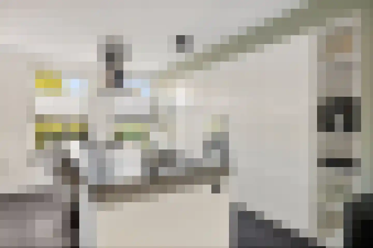 Burgemeester Pastoorstraat 8 Wanneperveen thumbnail 7