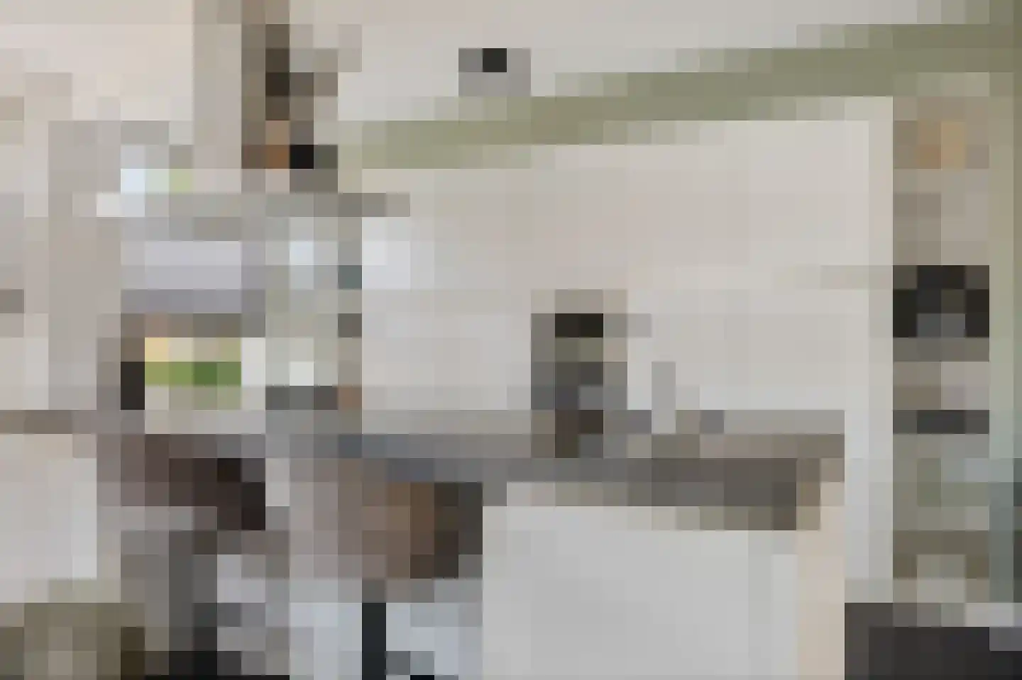 Burgemeester Pastoorstraat 8 Wanneperveen thumbnail 8
