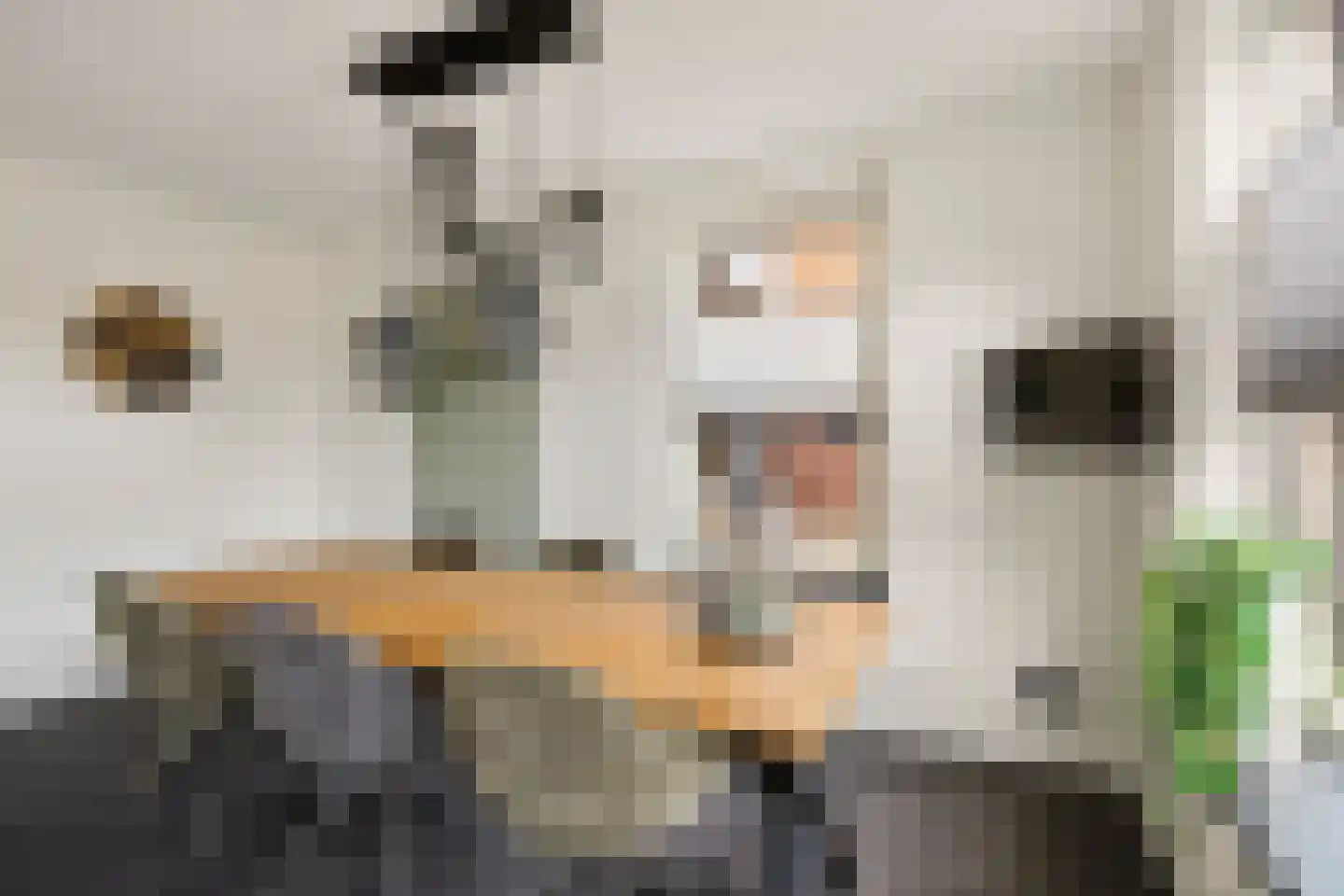 Burgemeester Pastoorstraat 8 Wanneperveen thumbnail 9