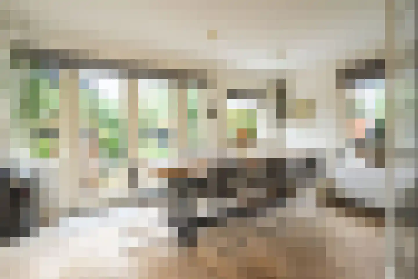 Burgemeester Patijnlaan 102 Zeist thumbnail 10