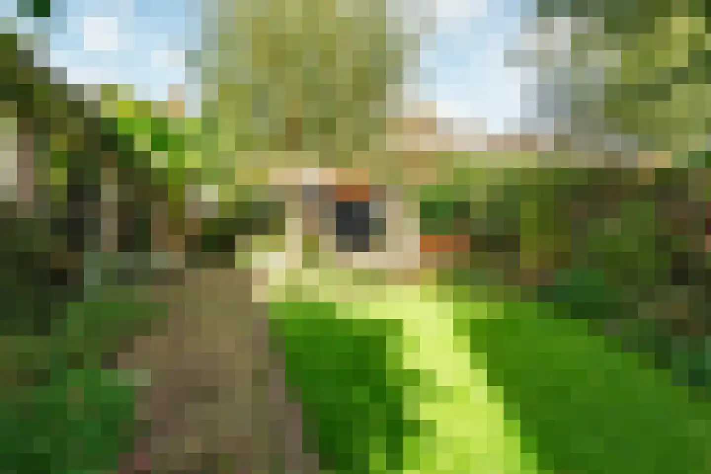 Burgemeester Patijnlaan 102 Zeist thumbnail 33