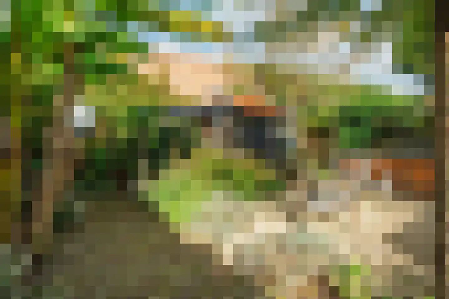 Burgemeester Patijnlaan 102 Zeist thumbnail 34