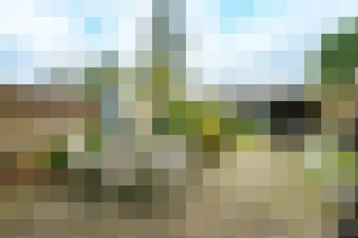 Burgemeester Patijnlaan 116 A Zeist thumbnail 18