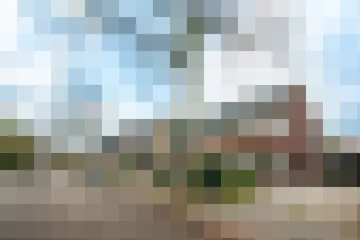 Burgemeester Patijnlaan 116 A Zeist thumbnail 23