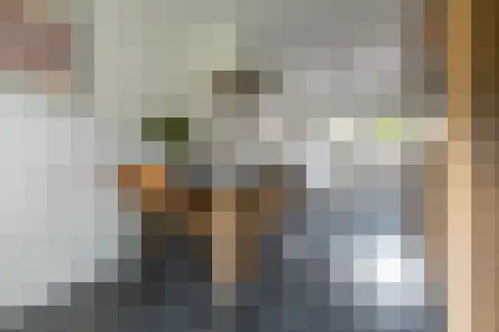 Burgemeester Patijnlaan 131 Zeist thumbnail 10