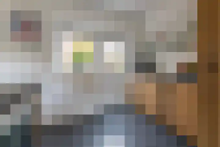 Burgemeester Patijnlaan 131 Zeist thumbnail 14